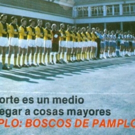Temp. 29 (1986-87).