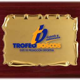 PRESENTACIN DE LA TEMPORADA 25-26 Y ENTREGA DE RECONOCIMIENTOS